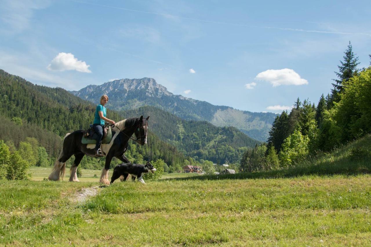 Вилла Reiterbauernhof Maho Sankt Aegyd am Neuwalde Экстерьер фото