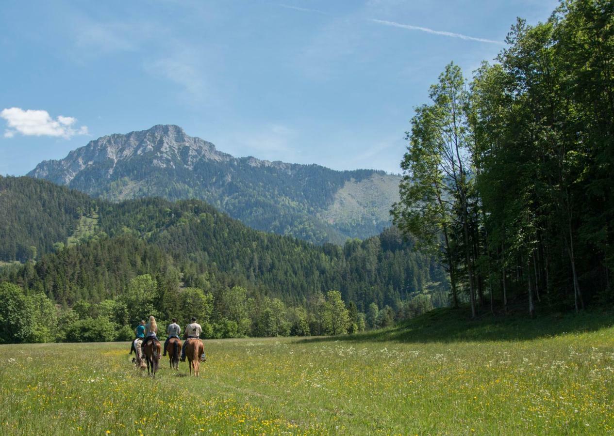 Вилла Reiterbauernhof Maho Sankt Aegyd am Neuwalde Экстерьер фото